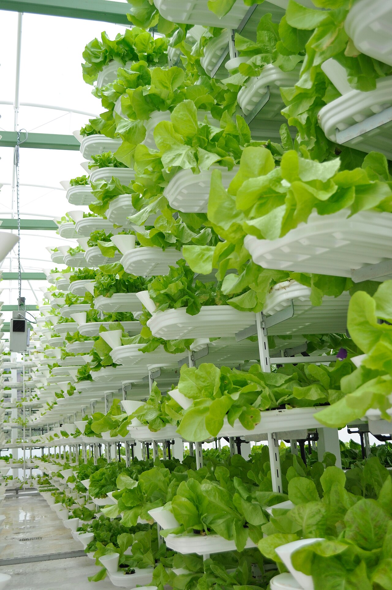 Stacked Vertical Farm